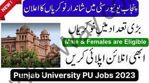 Thumbnail New Jobs in Punjab University PU 2023